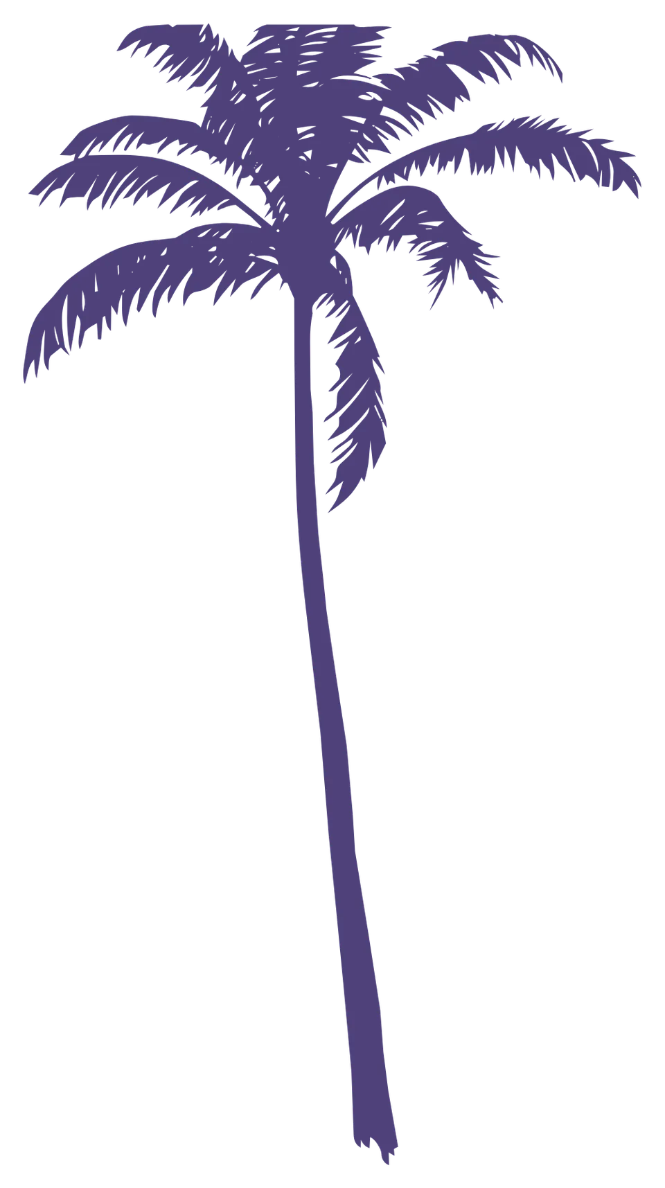 An Extended Look Banner Palm Tree Aug 6 2026