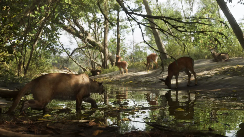 Mount Kalaga National Park 05